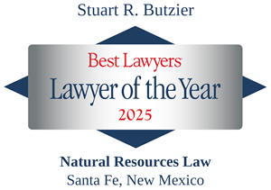 Best Lawyers Award Badge